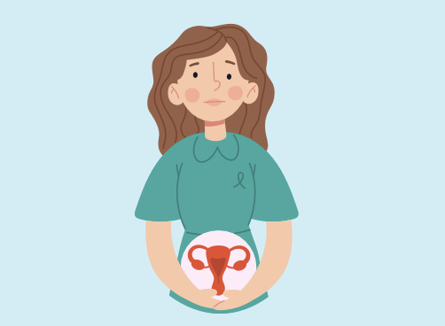illustration de l'utérus
